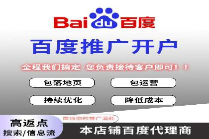 某行业巨头如何利用百度推广服务费提升业绩